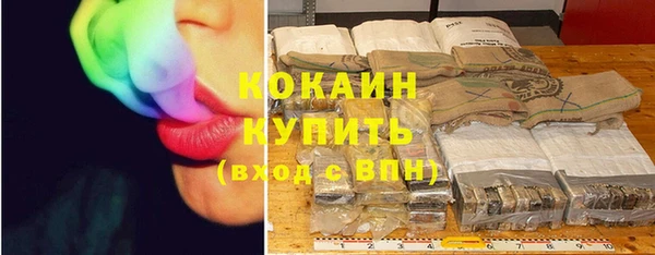 ешки Гусев