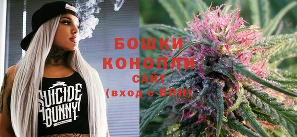 прущие грибы Балабаново