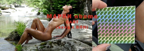 прущие грибы Балабаново