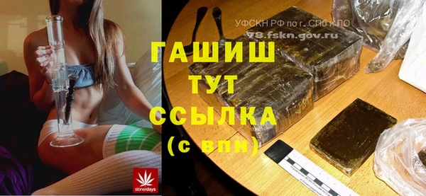 прущие грибы Балабаново