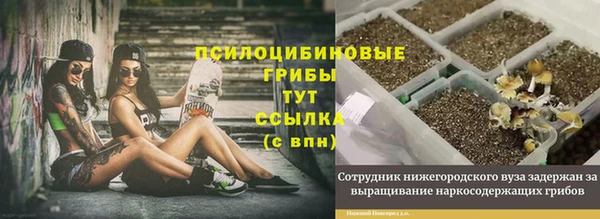 альфа пвп Баксан
