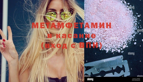прущие грибы Балабаново