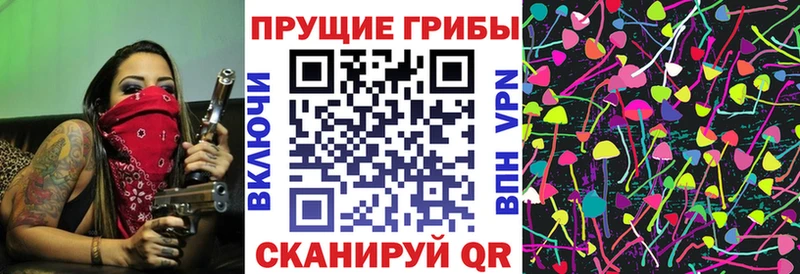 гидра маркетплейс  Баксан  Псилоцибиновые грибы Cubensis 